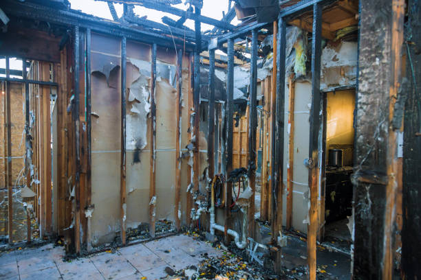 Professional Fire Damage Removal technician working in Cactus, TX